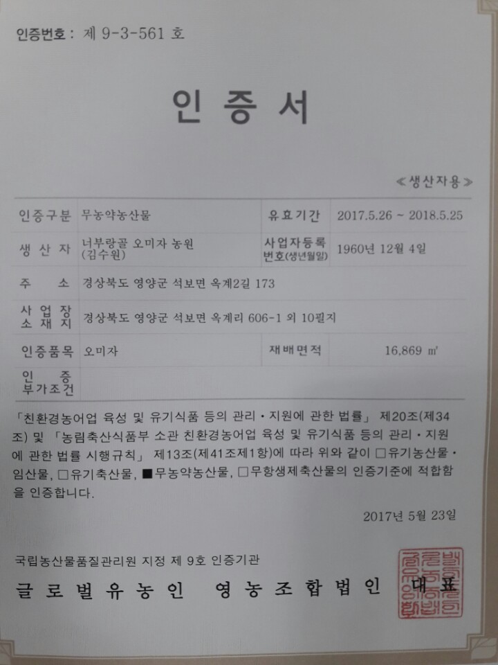 너부랑골 오미자